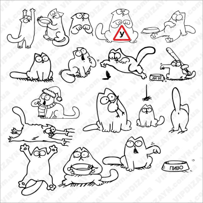 Коте